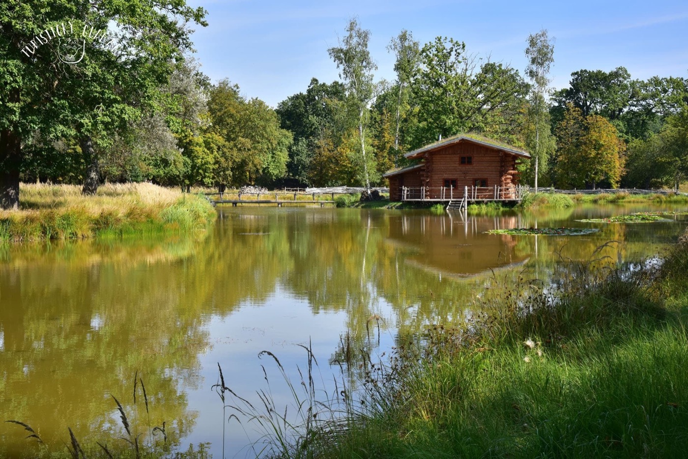 Cesta Svatojiřským lesem